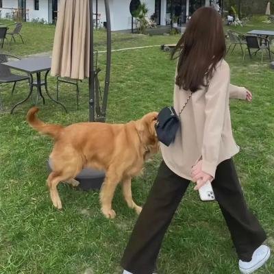 飞鹰人